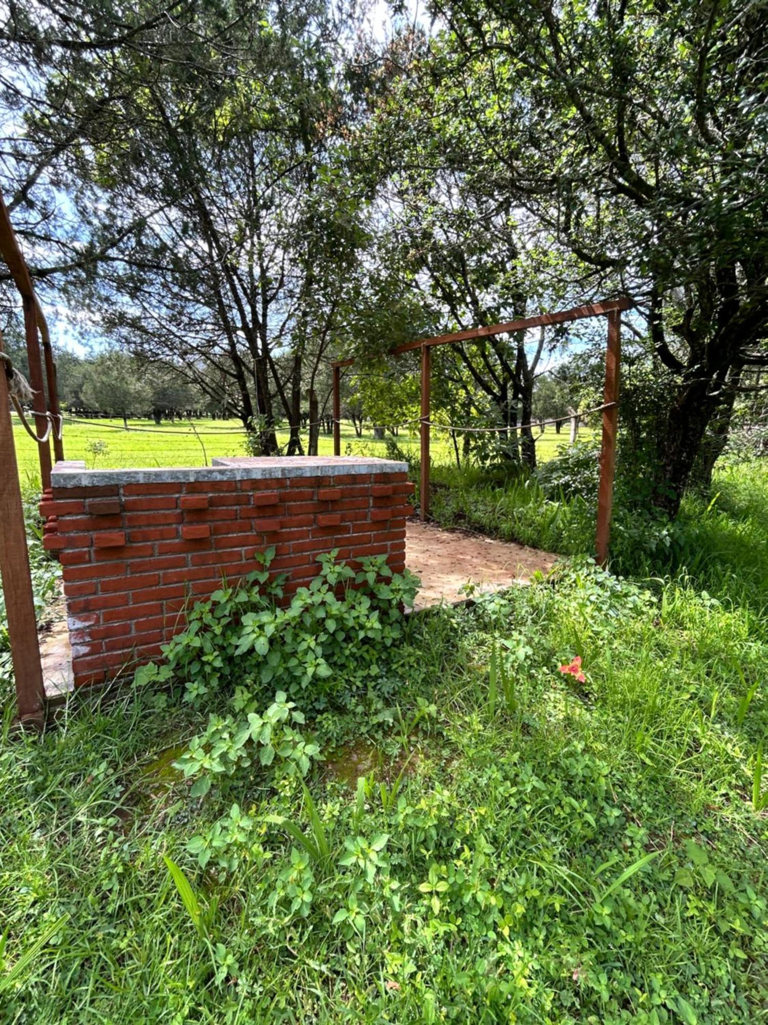 Cabanas La Victoria By Gestores Huasca de Ocampo Extérieur photo
